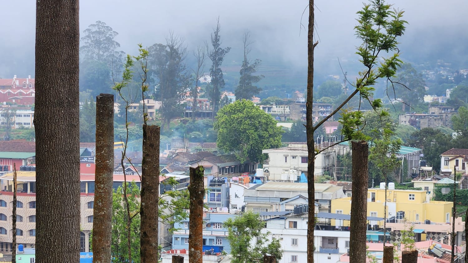 Ooty One Day Trip from Kerala: A Simple Budget Weekend Escape